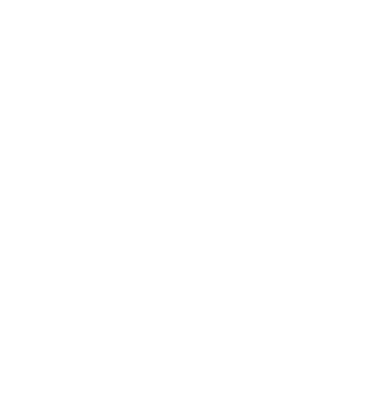 Ametis Logo